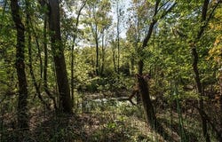 403238 E 1250, Hanna, OK 74845