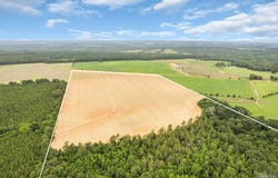 Old Stage Rd, Repton, AL 36475