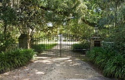 Whitehall Ave. lot: 5, Georgetown, SC 29440