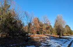 Bergstrom Drive, Kaleva, MI 49645