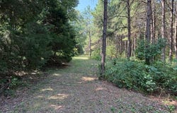 2116 CR 4314, DeKalb, TX 75599