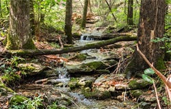 County Rd 2121, Eureka Springs, AR 72631