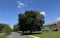 52 Stonehurst Boulevard, Freehold, NJ 07728