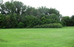 S Third Street, Butterfield, MN 56120