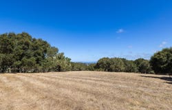 8170 Manjares, MONTEREY, CA 93940