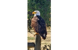 Interlake Road, Bradley, CA 93426