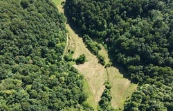 001 Mud Fork Road, Chloe, WV 25235