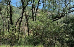 7268 Shasta, Nice, CA 95464