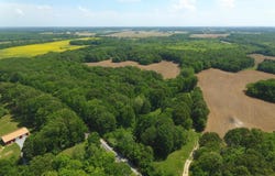 290 ROCK HILL ROAD, SHARON, TN 38255