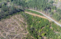 Bryant Road, Morganton, NC 28655