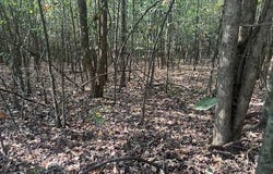 TOW BOAT Ln, Adamsville, TN 38310
