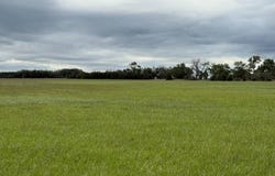 80 +/- Acres, Holt County, Inman, NE 68742