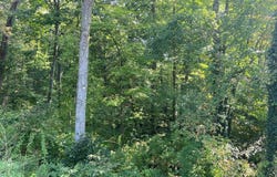 Willow Avenue, Knox, PA 16232
