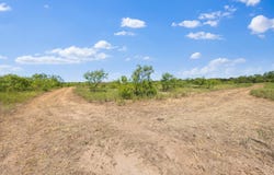Bloodworth Road, Bowie, TX 76230