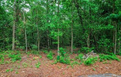 Vanderbilt Drive, Aiken, SC 29803