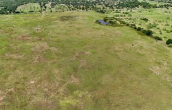 CR 411, Carbon, TX 76435