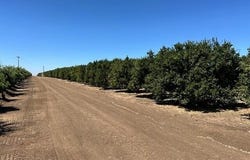 Plano Road, Porterville, CA 93257