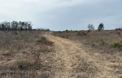 TX HWY 8, Linden, TX 75563
