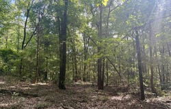 204 Mississippi 35, Raleigh, MS 39153