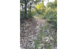 Hammock Road, Carriere, MS 39426