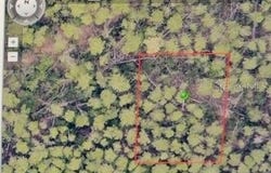1 WERLEY Trail, DELAND, FL 32720