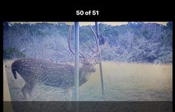 462 Schenk-Witkowski Rd, Rocksprings, TX 78880