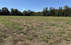15844 Ace Basin (Lot #3) Parkway, Round O, SC 29474