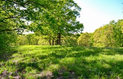 State Highway Uu, Washburn, MO 65772