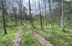 Melzoni Road, Pennington Gap, VA 24277