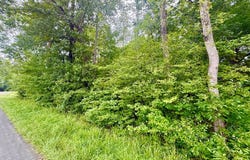 Forest Chapel Rd, Pamplin, VA 23958