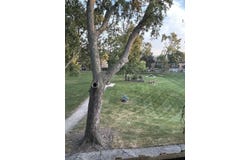 2209 Arbor Circle, Downers Grove, IL 60515