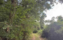 1 Old Stage Rd, Repton, AL 36475