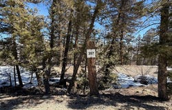 806 Middle Fork lot: 357, FAIRPLAY, CO 80440