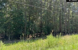 Wildwood Rd Extension, Leesville, SC 29070