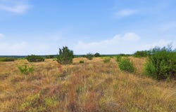 County Road 607 lot: 1, Hamilton, TX 76531