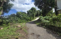 Mayaguez, Mayaguez, PR 00680