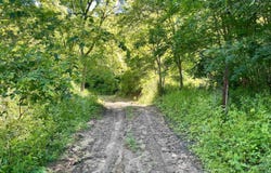 Highway 131, Gays Mills, WI 54631