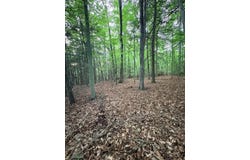 Ledgeview Dr, FAYETTEVILLE, WV 25840