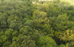 SR 1 lot: 6, West Harrison, IN 47060