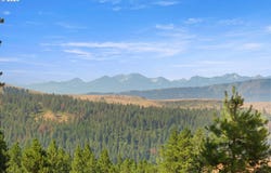 70286 HAEFER Ln, Cove, OR 97824