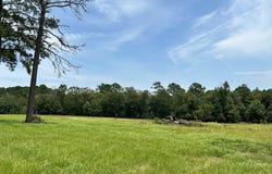 Madison lot: 378, Woodville, TX 75979