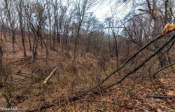 94 Briar Avenue, Albany, NY 12203