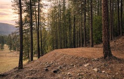 119 Skyline Court, Libby, MT 59923