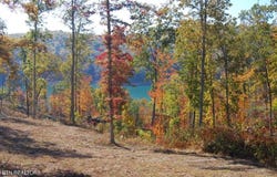 Whitetail Lane, LaFollette, TN 37766