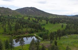 14884 Rist Canyon Rd, Bellvue, CO 80512