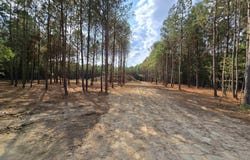 5.88 Acres Covington Avenue SE, Attalla, AL 35954