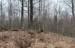 153 Acre, Negaunee, MI 49866