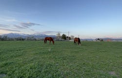 Lot B Jensen Rd, McCammon, ID 83250