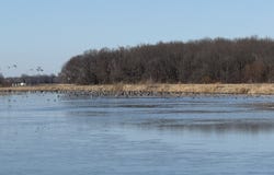 Hog Farm Lane, Tract 3, Monroe, AR 72108
