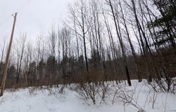 458 Mount Carmel Road, WINDSOR, NY 13865
